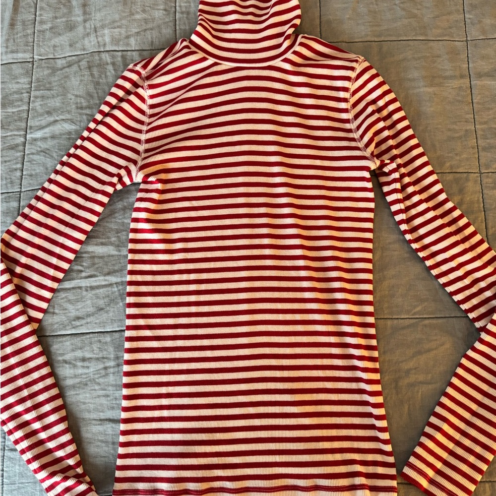 Everlane Luxe Ribbed Turtleneck